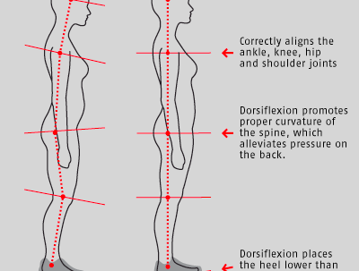 תרשים ההשפעות של איזון מרכז הכובד באמצעות נעל פיזיולוגית על גוף האדם